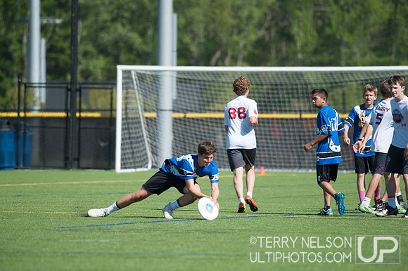 Georgia High School Ultimate State Championship