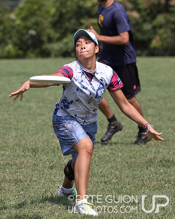 Playoffs of the Mixed Division of the Ultimate Capitol Sectionals