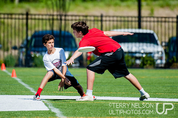 Georgia High School Ultimate State Championship