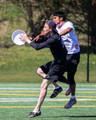 Sunday - Sandy's Photos - Metro East D1 Conference Championships 2016