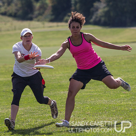 2013 USA Ultimate Metro New York Mixed Sectionals