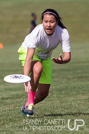 2013 USA Ultimate Metro New York Women Sectionals