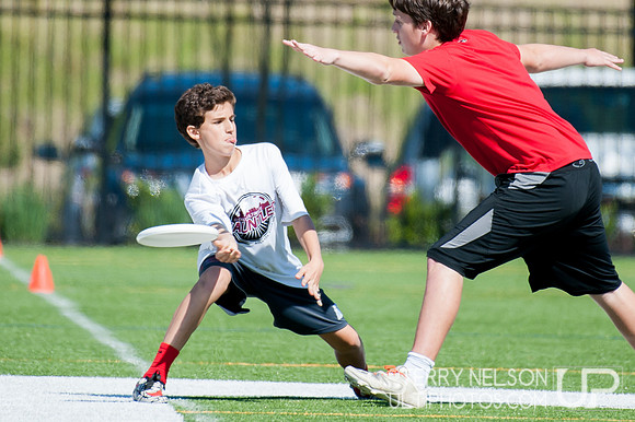 Georgia High School Ultimate State Championship