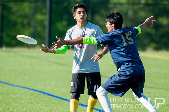 Georgia High School Ultimate State Championship