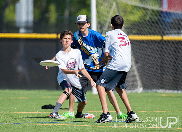 Georgia High School Ultimate State Championship