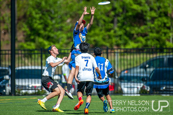 Georgia High School Ultimate State Championship