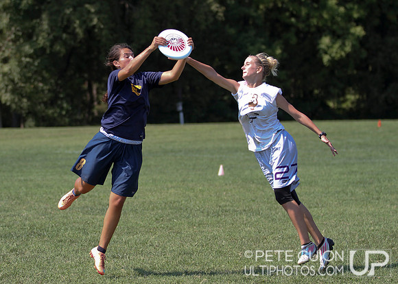 Mixed Division Finals of the Ultimate Capitol Sectionals