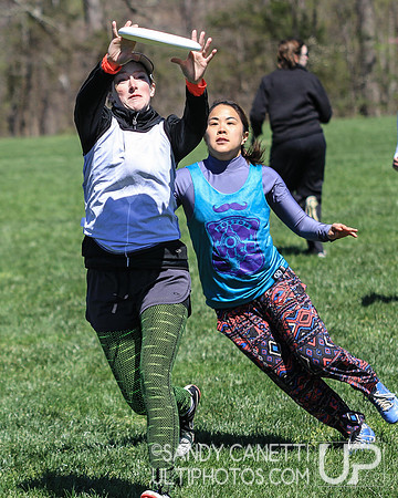 Fool's Fest 2016 - Sunday Action