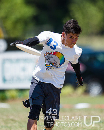 Saturday Pool Play - 2016 USA Ultimate College Championships