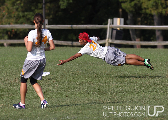 Playoffs of the Mixed Division of the Ultimate Capitol Sectionals