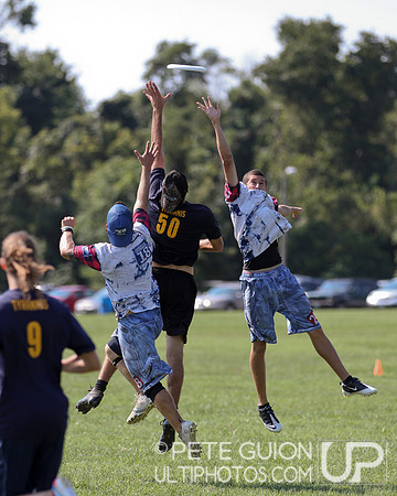Mixed Division Semifinals of the Ultimate Capitol Sectionals
