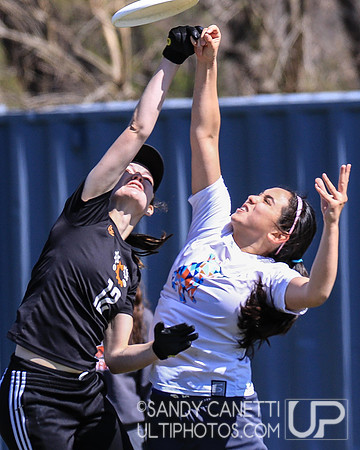 Saturday - Metro NY D-1 College Women's Sectionals