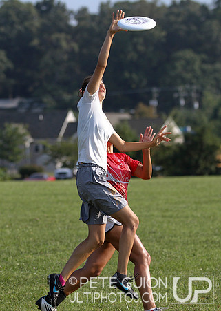 Playoffs of the Mixed Division of the Ultimate Capitol Sectionals