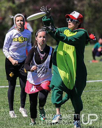 Fool's Fest 2016 - Sunday Action