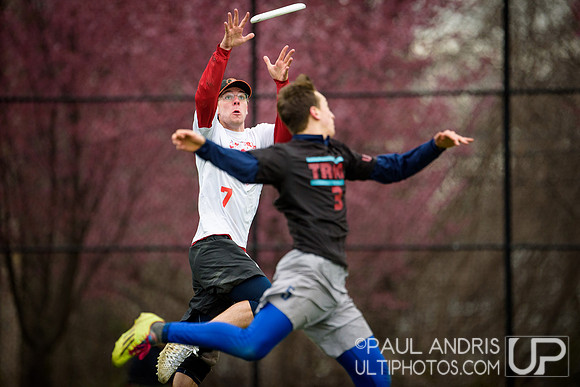 Haverford Layout Pigout 2016