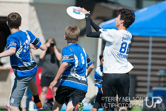 Georgia High School Ultimate State Championship