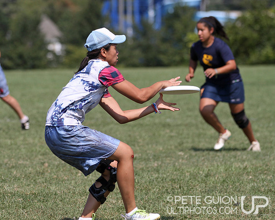 Playoffs of the Mixed Division of the Ultimate Capitol Sectionals
