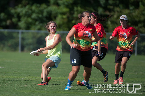 2013 USAU Southeast Regional