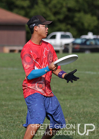 Playoffs of the Mixed Division of the Ultimate Capitol Sectionals