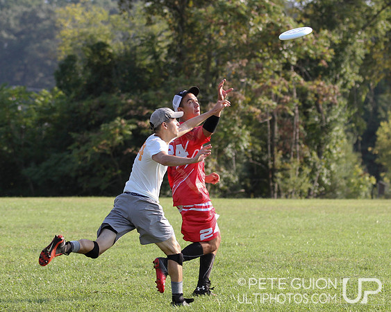 Playoffs of the Mixed Division of the Ultimate Capitol Sectionals