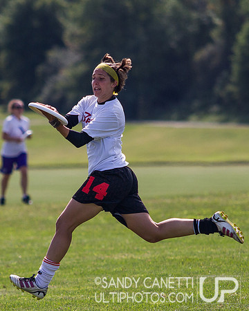 2013 USA Ultimate Metro New York Mixed Sectionals