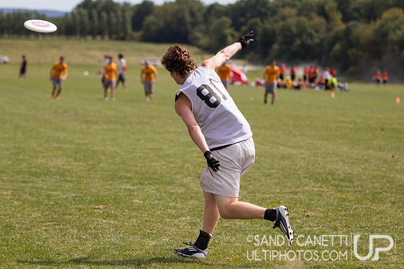 2013 USA Ultimate Metro New York Open Sectionals