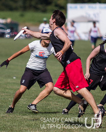 2013 USA Ultimate Metro New York Mixed Sectionals