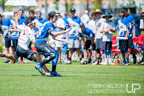 Georgia High School Ultimate State Championship