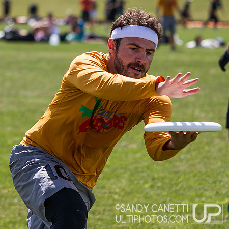2013 USA Ultimate Metro New York Open Sectionals