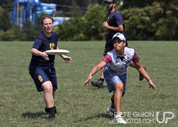Playoffs of the Mixed Division of the Ultimate Capitol Sectionals