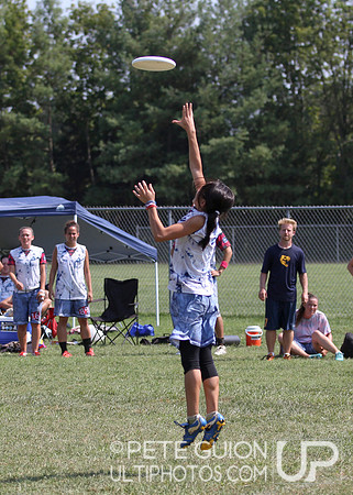 Playoffs of the Mixed Division of the Ultimate Capitol Sectionals