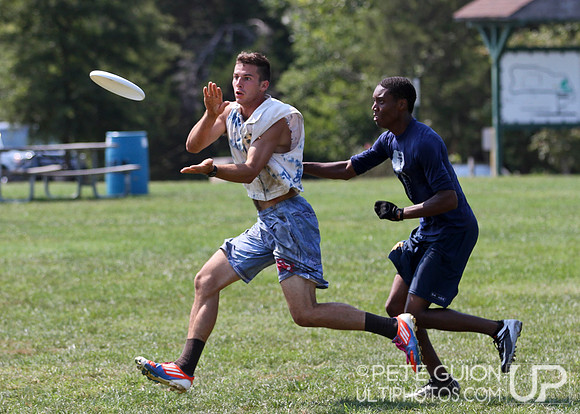 Playoffs of the Mixed Division of the Ultimate Capitol Sectionals