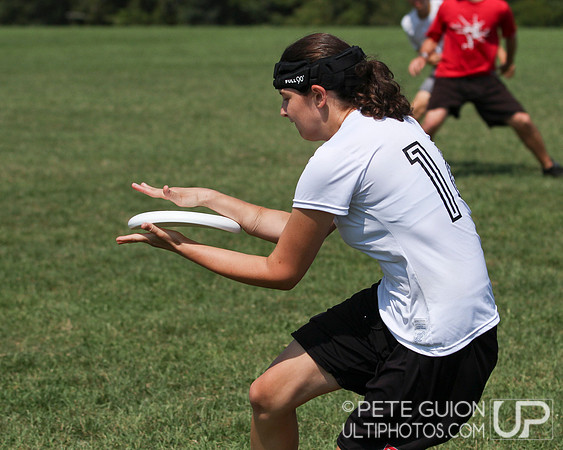 Playoffs of the Mixed Division of the Ultimate Capitol Sectionals