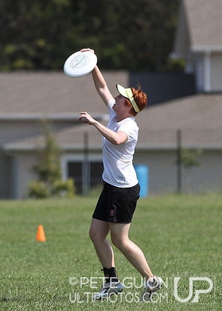 Playoffs of the Mixed Division of the Ultimate Capitol Sectionals