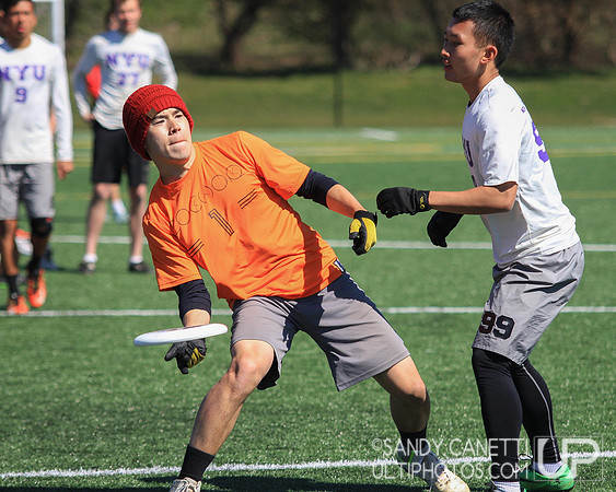 Sunday - Metro NY D-1 College Men's Sectionals