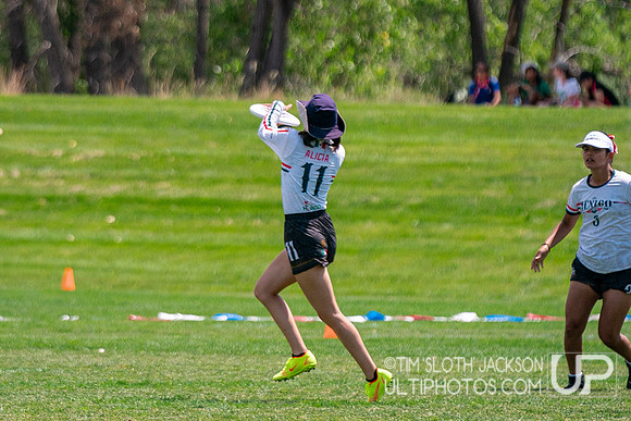 Pool play at 2024 USAU International Club Championship