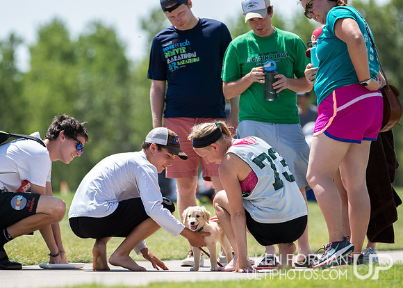 Pro Elite Challenge - Colorado Cup 2016 : Aurora Sports Park, Aurora CO