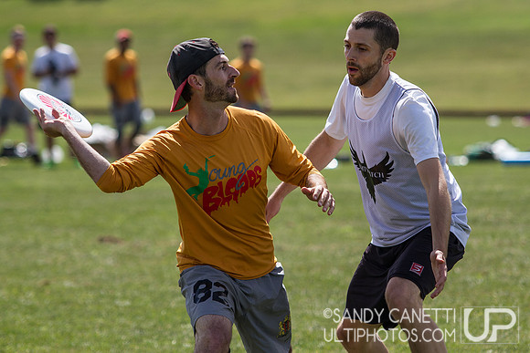 2013 USA Ultimate Metro New York Open Sectionals