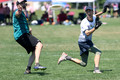 Shelf Life v Immortals