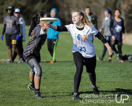 Queen City Tune Up 2017 - Sunday