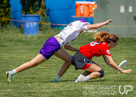 2024 USA Ultimate Division III College Championships ©