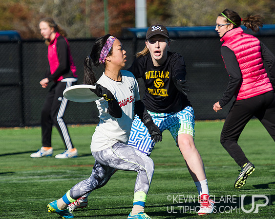 Harvard Ultimate Alumni v. current teams