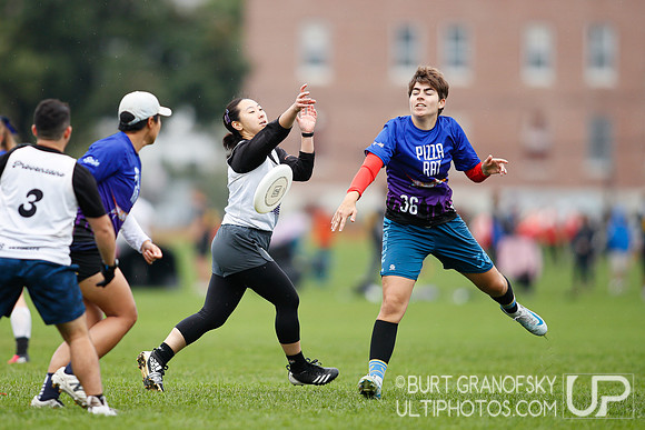 USA Ultimate Northeast Regionals, 9/21/2024