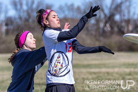 Cherry Blossom Classic - Sunday March 5, 2017