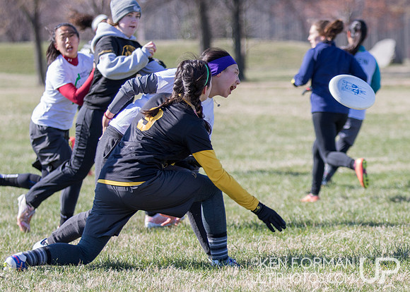 Cherry Blossom Classic - Saturday March 4, 2017