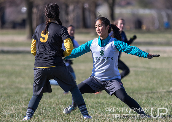 Cherry Blossom Classic - Saturday March 4, 2017