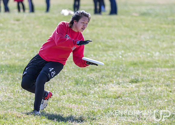 Cherry Blossom Classic - Saturday March 4, 2017