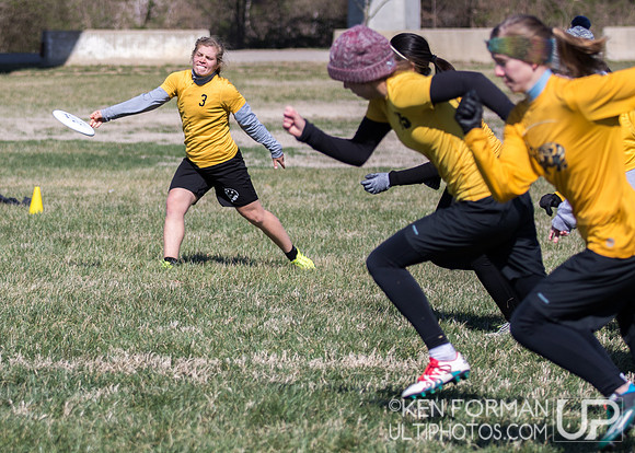 Cherry Blossom Classic - Saturday March 4, 2017