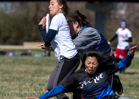 Cherry Blossom Classic - Sunday March 5, 2017