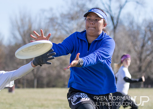 Cherry Blossom Classic - Sunday March 5, 2017